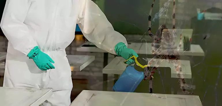 Why Buyers Still Want Homes With Pest Infestations in Raleigh, NC?